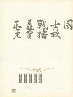 正义战士国语版免费播放