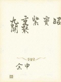 九重紫窦昭人物关系