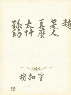 孙太真是赵匡胤的什么人