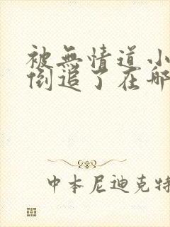 被无情道小师弟倒追了在哪里看封面