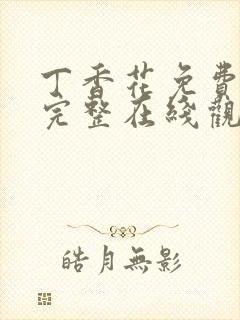 丁香花免费高清完整在线观看第48集