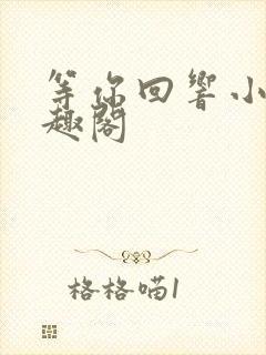 等你回响小说笔趣阁