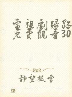 电视剧归路全集免费观看30集完整版