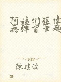 阿姨们张伟小说无弹窗笔趣阁封面