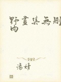 野画集无删减生肉