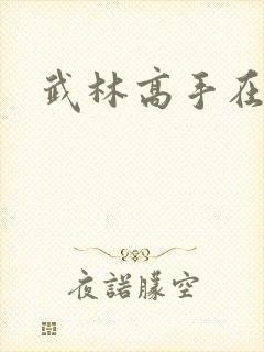 武林高手在异界