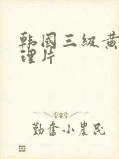 韩国三级黄色伦理片封面