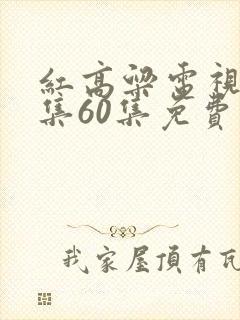 红高粱电视剧全集60集免费播放
