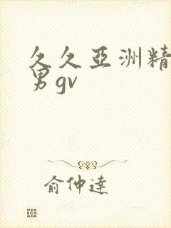 久久亚洲精品男男gv