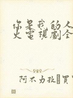 你是我的人间烟火电视剧全集免费观看