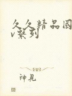 久久精品国产av系列