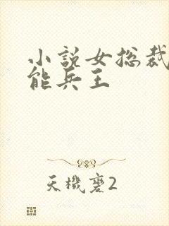 小说女总裁的全能兵王