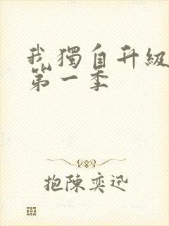 我独自升级动漫第一季