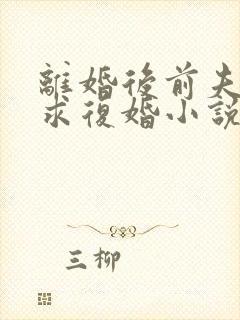 离婚后前夫哭着求复婚小说完本免费阅读封面