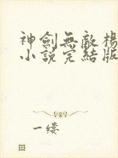 神剑无敌杨小天小说完结版封面