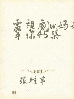 电视剧w妈妈在等你45集