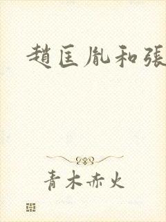 赵匡胤和张彦泽