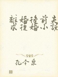 离婚后前夫哭着求复婚小说全部章节封面