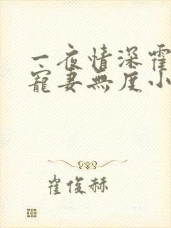 一夜情深霍先生宠妻无度小说免费阅读