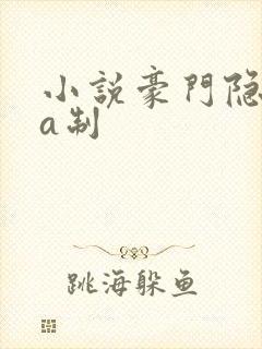 小说豪门隐婚aa制封面