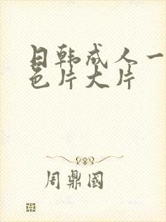 日韩成人一级黄色片大片