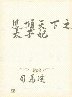 凤倾天下之绝色太子妃