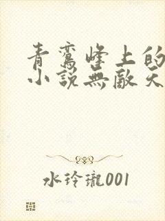 青鸾峰上的全部小说无敌天命