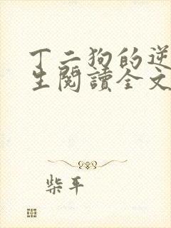 丁二狗的逆袭人生阅读全文全文