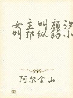 女主叫颜汐男主叫祁纵的小说名字