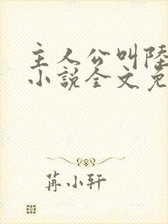 主人公叫陆沉的小说全文免费阅读封面