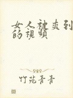 女人被爽到高潮的视频封面