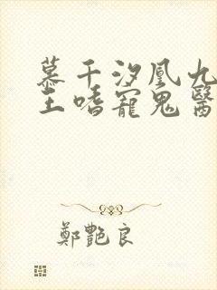 慕千汐凰九夜邪王嗜宠鬼医狂妃封面