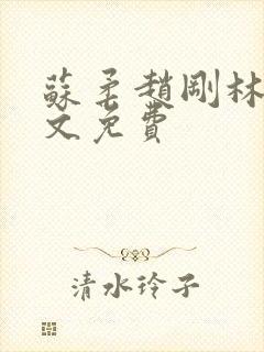 苏柔赵刚林风全文免费