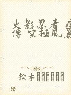 火影忍者 疾风传 究极风暴2下载封面