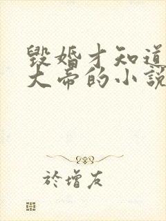 毁婚才知道我是大帝的小说免费阅读无弹窗