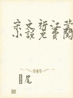 宋文祈江莹溪的小说免费阅读