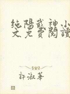 纯阳武神小说全文免费阅读