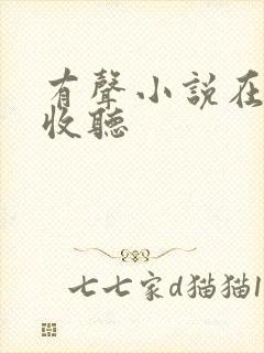 有声小说在免费收听