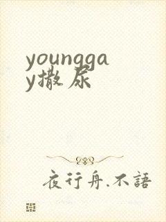 younggay撒尿封面