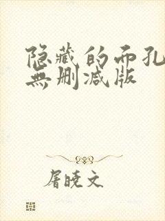 隐藏的面孔韩国无删减版