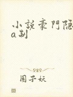 小说豪门隐婚aa制