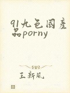 91九色国产精品porny