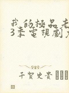 我的极品老婆第3季电视剧免费