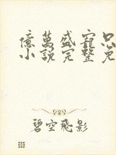 亿万盛宠只为你小说完整免费