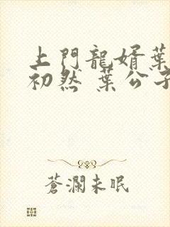 上门龙婿叶辰萧初然 叶公子