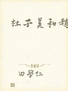 杜子美和赵匡胤封面