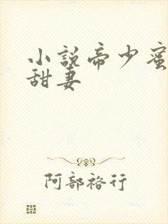 小说帝少蜜爱小甜妻封面