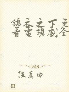 锦衣之下免费观看电视剧全集在线播放封面