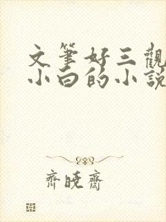 文笔好三观正不小白的小说