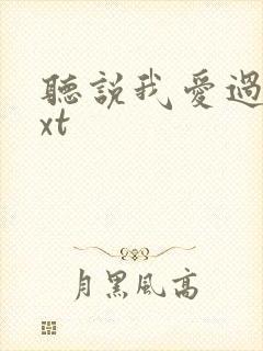 听说我爱过你txt